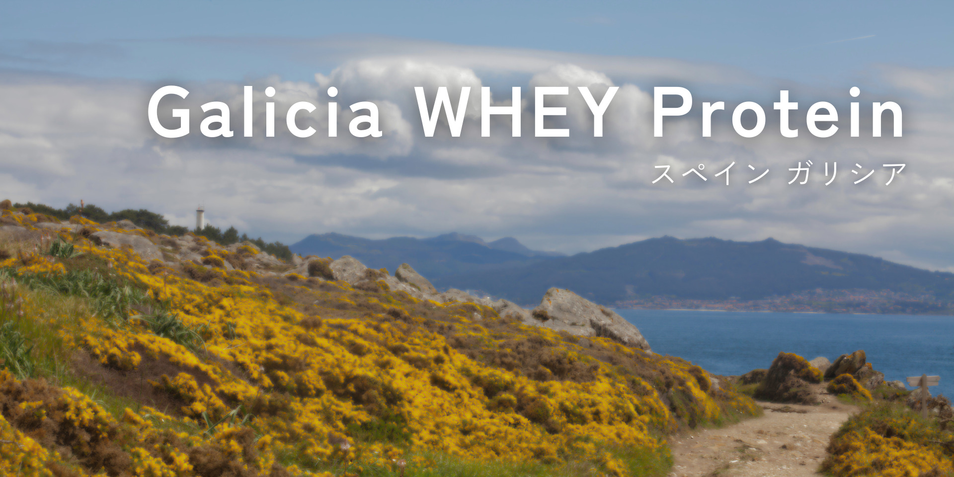 Galicia WHEY Protein（スペイン ガリシア）