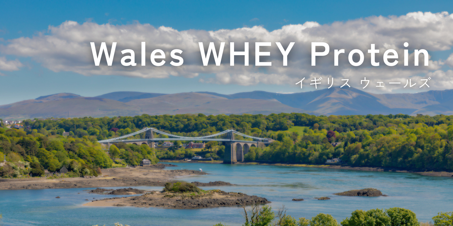 Wales WHEY Protein（イギリス ウェールズ）