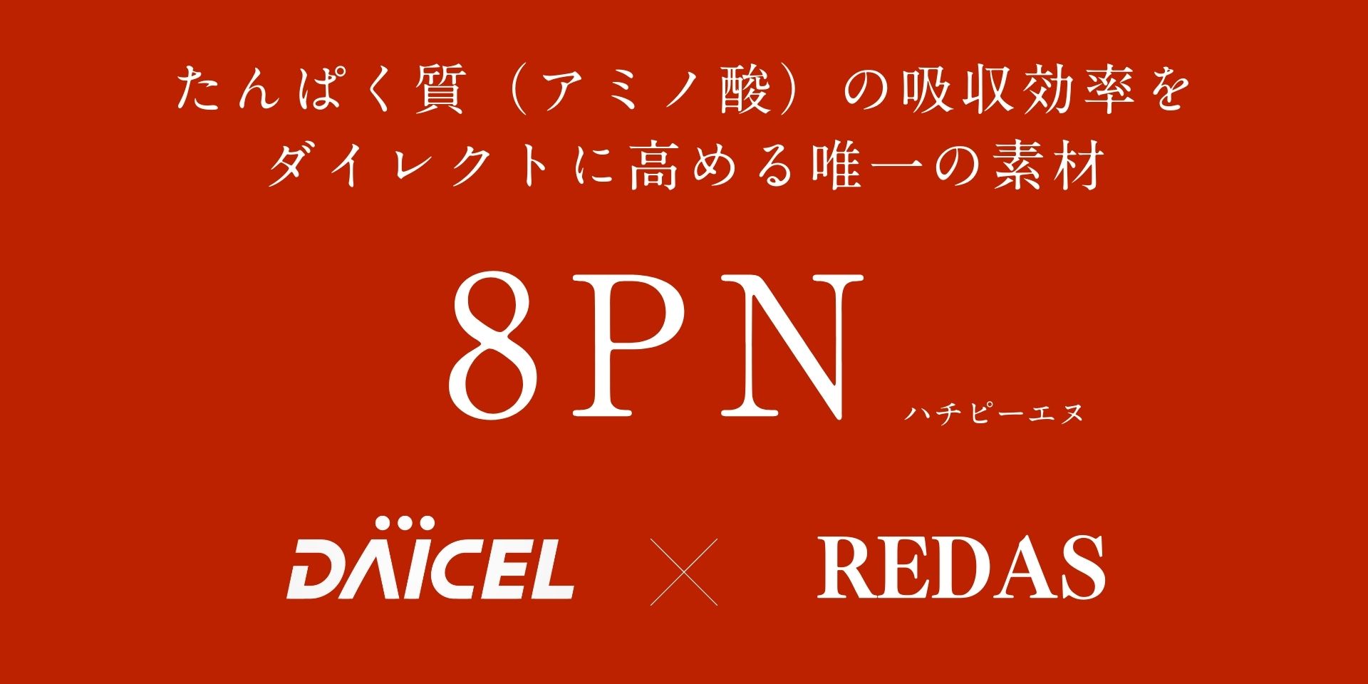 アミノ酸（たんぱく質）取り込み促進の注目原料『8PN（ハチピーエヌ）』ついにリリース！リーダスだけの【8PN×プロテイン】OEM受託