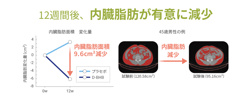 12週間後、内臓脂肪が有意に減少 内臓脂肪面積変化量グラフ